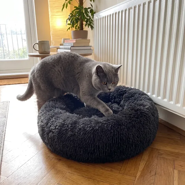 Dunkelgraues flauschiges rundes Bedsure Katzenbett auf Parkett, eine Britisch Kurzhaar steigt gerade hinein