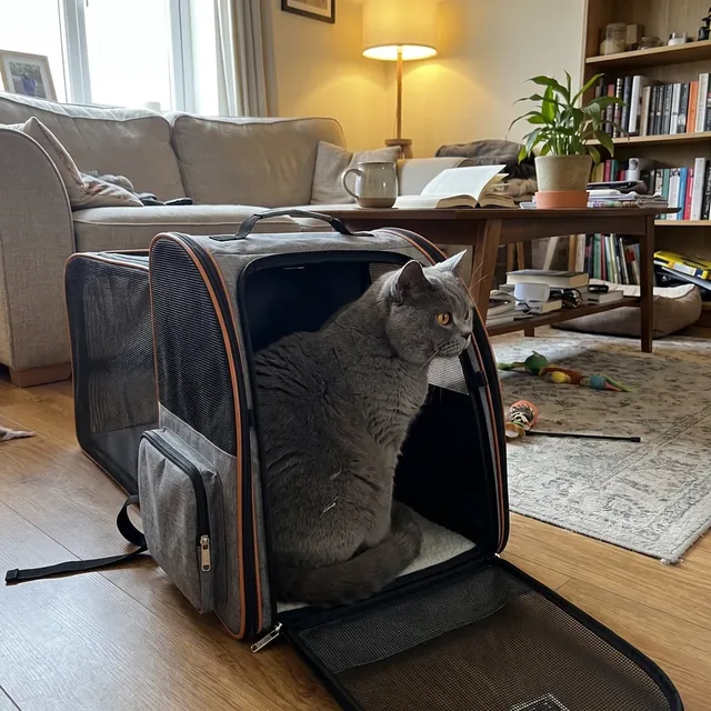 Grauer erweiterbarer Katzenrucksack mit oranger Naht und Netzfenstern, seitlich ausgeklappt