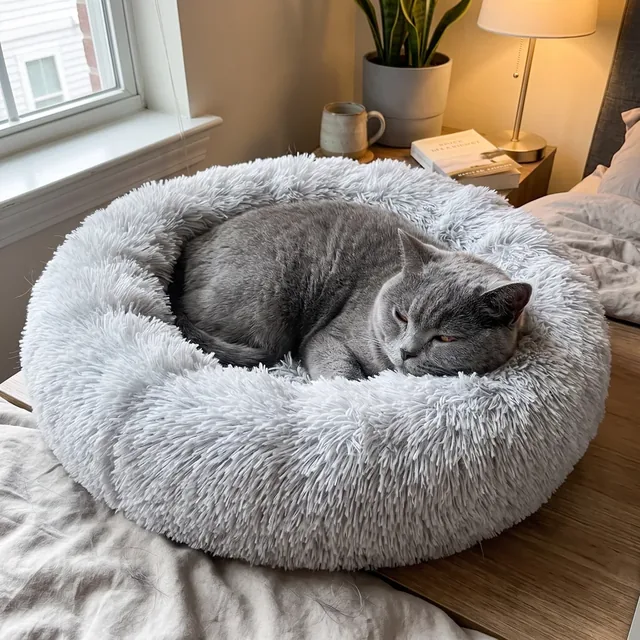 Hellgraues flauschiges rundes Katzenbett auf dem Schlafzimmerboden