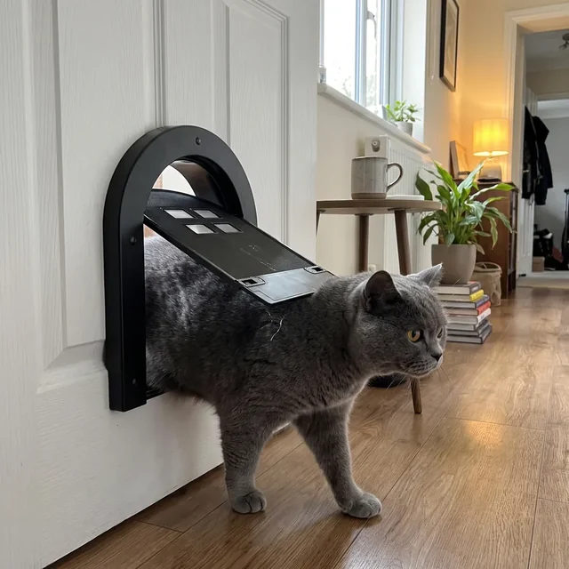 Schwarze Wordcam Katzenklappe mit gewölbtem Rahmen und vier Gitterfenstern in einer weißen Innentür